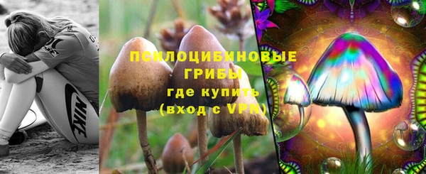 ALPHA-PVP Аркадак